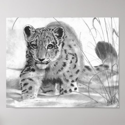 Mischieuwen Poster (Voorkant)