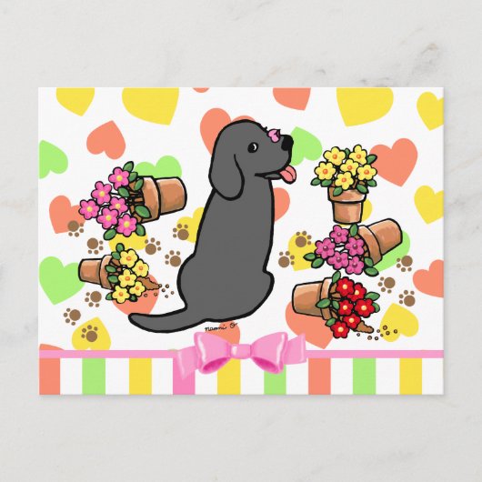 Mischievous Black Labrador Briefkaart (Voorkant)