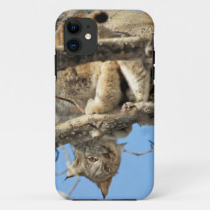 Mischievous Lynx iPhone 11 Hoesje