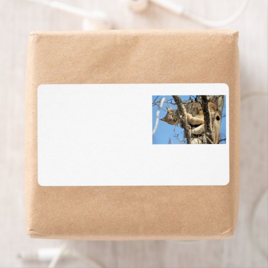 Mischievous Lynx Etiket (Insitu)