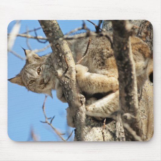 Mischievous Lynx Muismat (Voorkant)