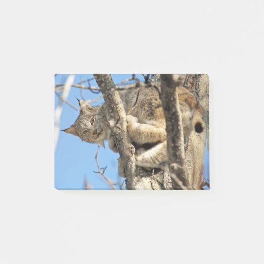 Mischievous Lynx Post-it® Notes (Voorkant)