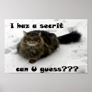 Mischievous Maine Coon in de sneeuw Poster