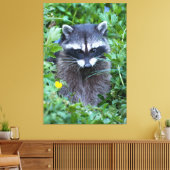 Mischievous Raccoon Canvas Afdruk (Insitu (Woonkamer))