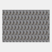 Mischievous Raccoon Inpakpapier Vel (Voorkant)