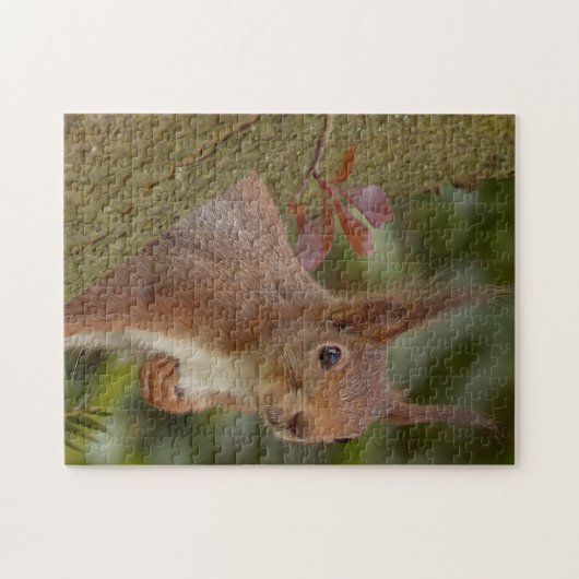 Mischievous Red Squirrel Legpuzzel (Horizontaal)