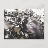 misdaad is de enige weg briefkaart (Voorkant)