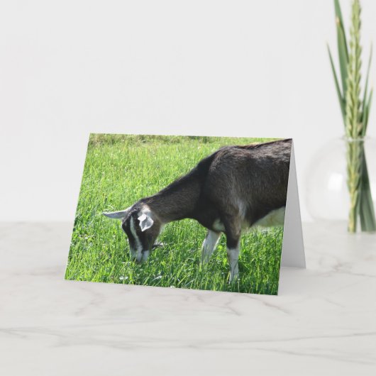 Misha de Goat Kaart (Voorkant)