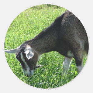 Misha de Goat Ronde Sticker