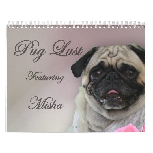 Misha pour la convoitise de carlin, calendrier de (Protection)