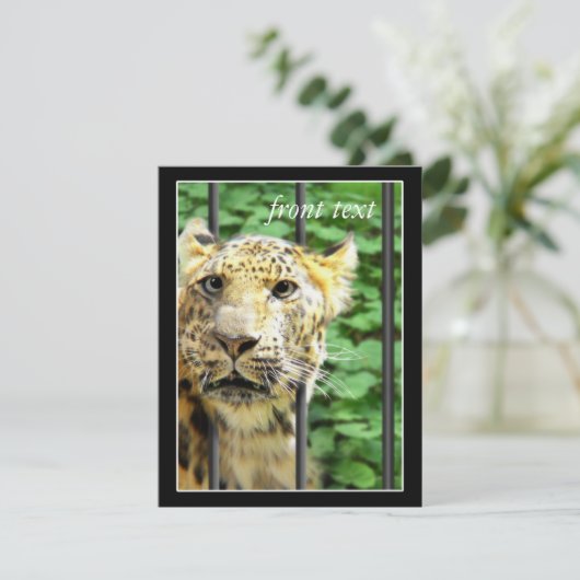 Mishap bij de dierentuin kaart (Staand voorkant)