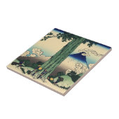 Mishima Pass in de provincie Kai Tegeltje (Zijkant)