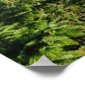 Misleiding Poster (Hoek)