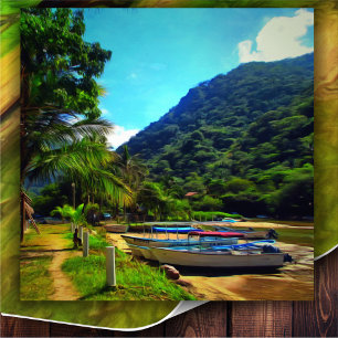 Mismaloya Boats op The River 0350 Art Print