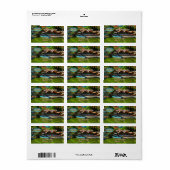 Mismaloya River 0331 Adres Etiket (Full Sheet)