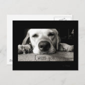 Miss. Briefkaart (Voorkant / Achterkant)