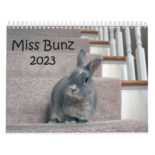 Miss Bunz 2023-kalender Kalender (Hoes)