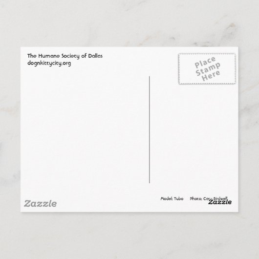 Miss die je ziet. Briefkaart (Achterkant)