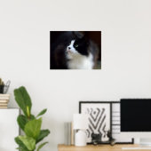 Miss Fluffy Poster (Thuiskantoor)
