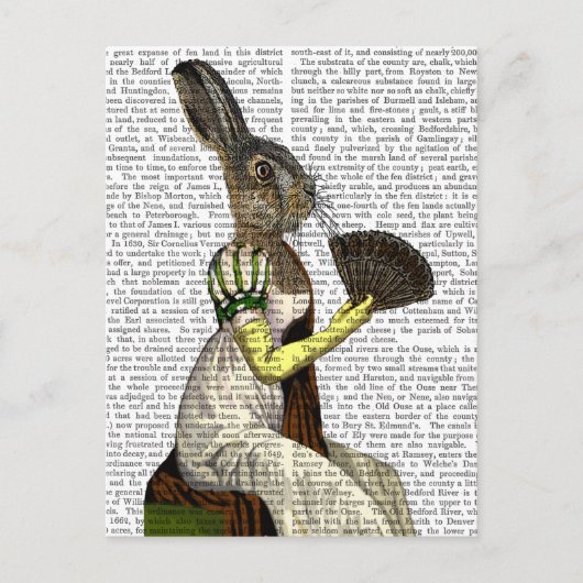 Miss Hare Briefkaart (Voorkant)