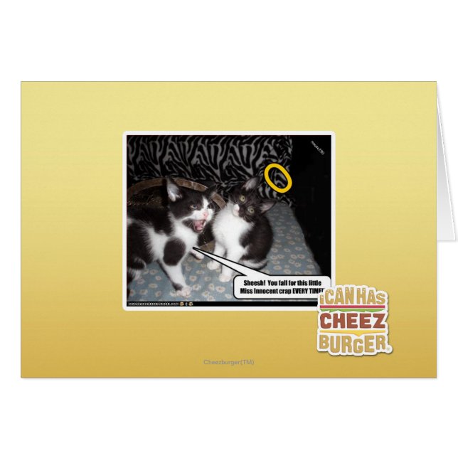 Miss Innocent (Voorkant Horizontaal)