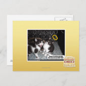 Miss Innocent Briefkaart (Voorkant / Achterkant)