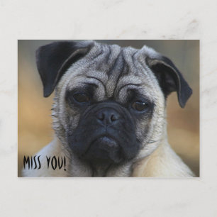 Miss JOU! Briefkaart