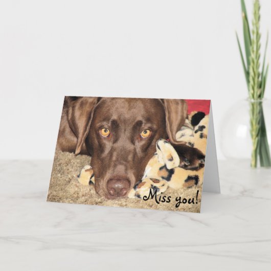 Miss. Kaart (Voorkant)