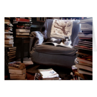 Miss Kat Book Collectie