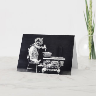 Miss Kitten Cooking Kaart