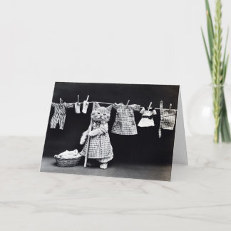 Miss Kitten doet de was Kaart