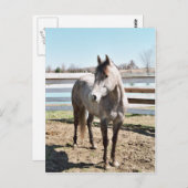 Miss Peppy Shu Briefkaart (Voorkant / Achterkant)