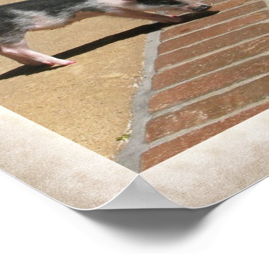 Miss Piggy in Paradise Poster (Hoek)