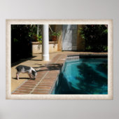 Miss Piggy in Paradise Poster (Voorkant)