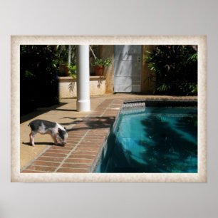 Miss Piggy in Paradise Poster