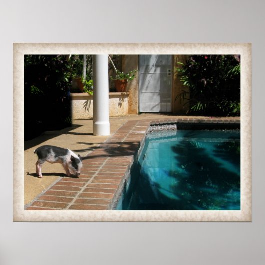 Miss Piggy in Paradise Poster (Voorkant)