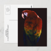 Miss Scarlett Briefkaart (Voorkant / Achterkant)