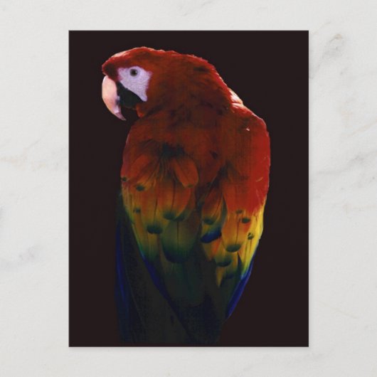 Miss Scarlett Briefkaart (Voorkant)