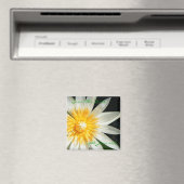 Miss Sunshine - Bewaar de datum Magneet (Insitu (Vaatwasser))