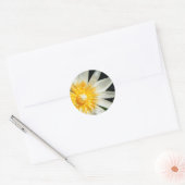 Miss Sunshine Ronde Sticker (Envelop)