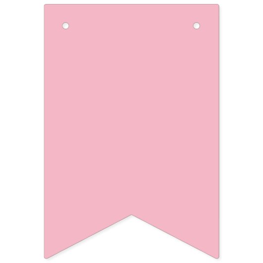 Miss to Mrs Vrijgezellenfeest Banner Bunting (Tweede vlag)