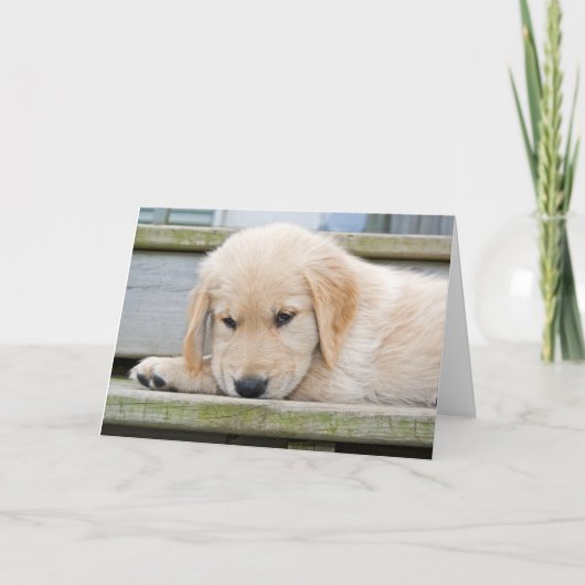 Miss U Kaart (Voorkant)