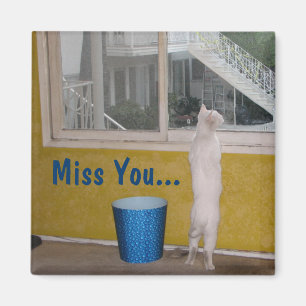 Miss U... Magneet! Magneet