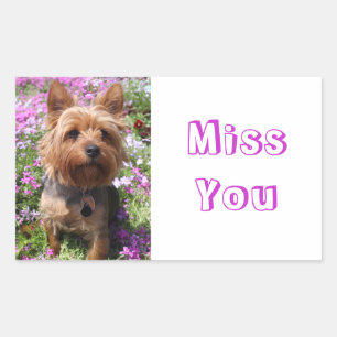 Miss Yorkshire Stickers Chien Chien Puppy Terrier