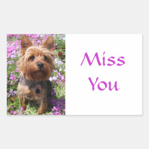 Miss Yorkshire Stickers Chien Chien Puppy Terrier
