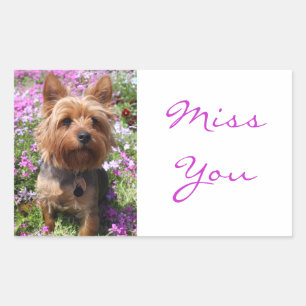 Miss Yorkshire Stickers Chien Chien Puppy Terrier