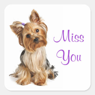 Miss Yorkshire Terrier Puppy Dog Stickers