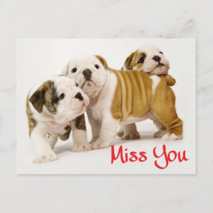 Miss You English Bulldog Puppy Dog Briefkaart