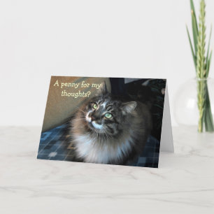 Miss You Irresistible Cat Zorro Kaart