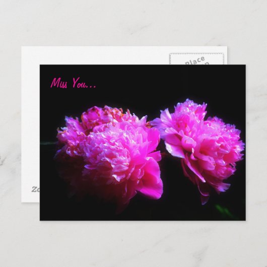 Miss you peony Briefkaart (Voorkant / Achterkant)